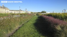 The landscape of Bordeaux