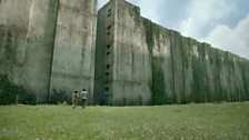 The Maze Runner