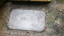 Mink Footprints