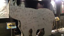 A rhinoceros in the foyer of the Beehive Theatre