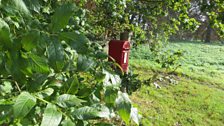 Next she had to find the post box in the tiny hamlet of Quarles