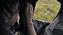 Langholm Moor gamekeepers monitor the raptor population