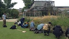 Snail hunting in Cambridge Botanic Gardens