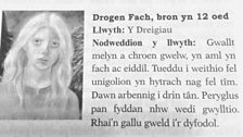 Gwylliaid: Drogen Fach