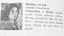 Gwylliaid: Bleddyn