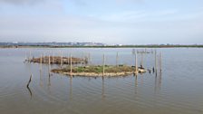 View from the hide