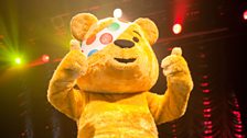 Pudsey