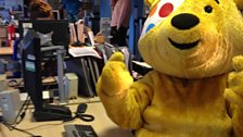 Pudsey'n gweithio'n galed!!