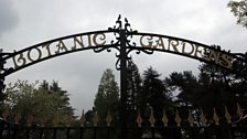 Entrance to Botanic Gardens, Belfast