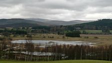 Pools in the marsh can be troublesome to reach by foot