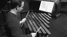 One of Harry Partch's original instruments, being played by Jared Soldiviero