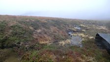 Peatland Restoration