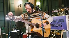 Climbing Trees - Maida Vale