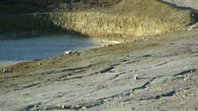 There are flints scattered across the quarry too