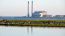 Waders with the power station in the background.