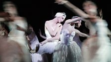 Zenaida Janowsky as Odette in Swan Lake