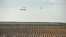 Planting crops on the banks of the Irrawaddy River in Mandalay