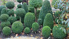 Raymond Blanc's Restaurant Garden