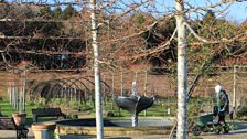 Bangor Castle Walled Garden