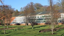 Bangor Castle Walled Garden