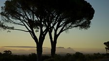 Overlooking False Bay Cape Peninsula