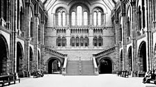 Natural History Museum: Hintze Hall over the years