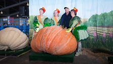 Giant vegetable competition