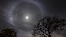 Lunar Halo