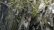 In late spring puffins and gannets nest on the sheer cliff ledges