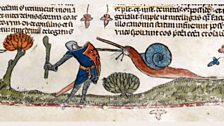 Snail attacking a knight