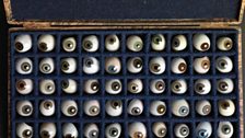 Prosthetic Eyes. Collection of Hiroshi Sugimoto