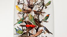 Damien Hirst, Birds display