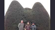 Extreme Topiary