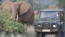 Saba gets up close and personal with the elephants in Samburu National Reserve