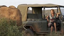 Saba with one of Samburu’s unusually trusting elephants