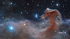 The Horsehead Nebula