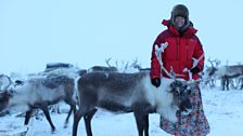 Kate with a mature reindeer