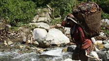 A Raute woman crosses a river with a large load as she migrates to a new camp