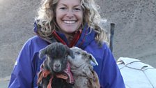 Kate holds two baby cashmere goats