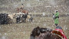 Marc Roberts records sound at the Yak Festival during a blizzard