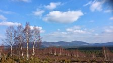 Cairngorms