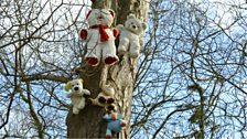 The mystery of the Knockmore teddy bears...