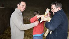 John bottle feeding his lamb!