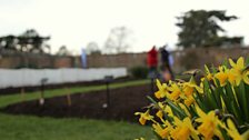 Spring in the Vegetable Garden