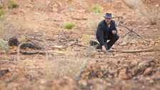 The Water Diviner