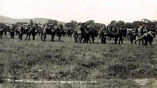 An Ross Mountain Battery a’ trèineadh an Inbhir Pheofharain ann a 1914