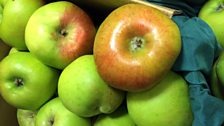 Bramley Apples