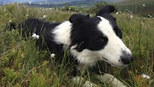 Floss takes a rest