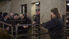 Mary Patterson, a part-time employee of the mart (as a handler in the calf pens) and a full time farmer.