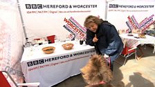 Worcester Market Stall